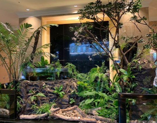 Lobby Atrium Concept: A Doorway to Yambaru