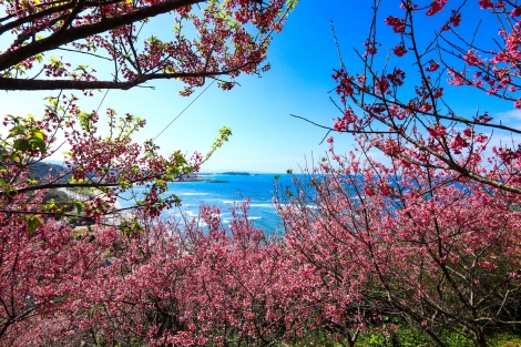 やんばる”の夜風に包まれるナイトタイム<br><small> 沖縄最大級