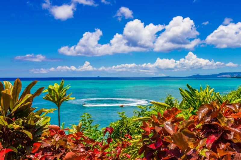 AQUA ADVENTURE PASS! Enjoy Kariyushi Beach activities to your heart's content!