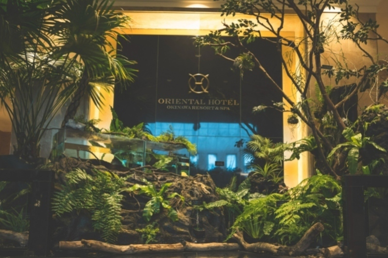 Lobby Atrium Concept: A Doorway to Yambaru