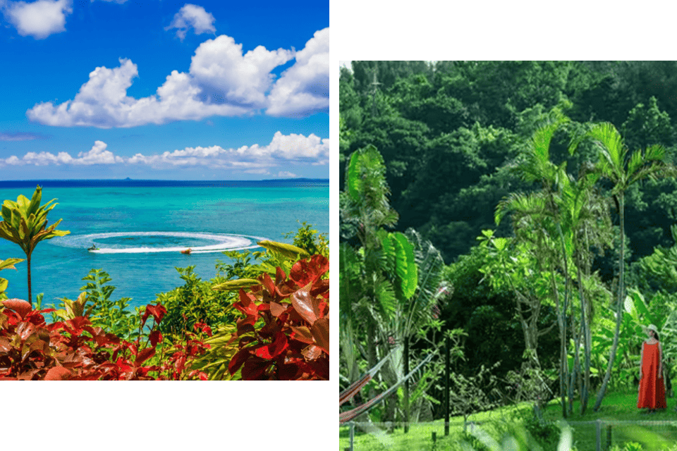Enjoy sightseeing in Okinawa before check-in