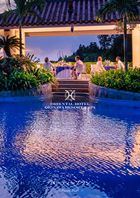 Party Plan information