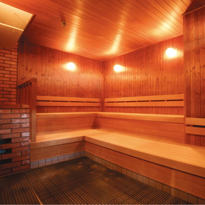 Dry Sauna