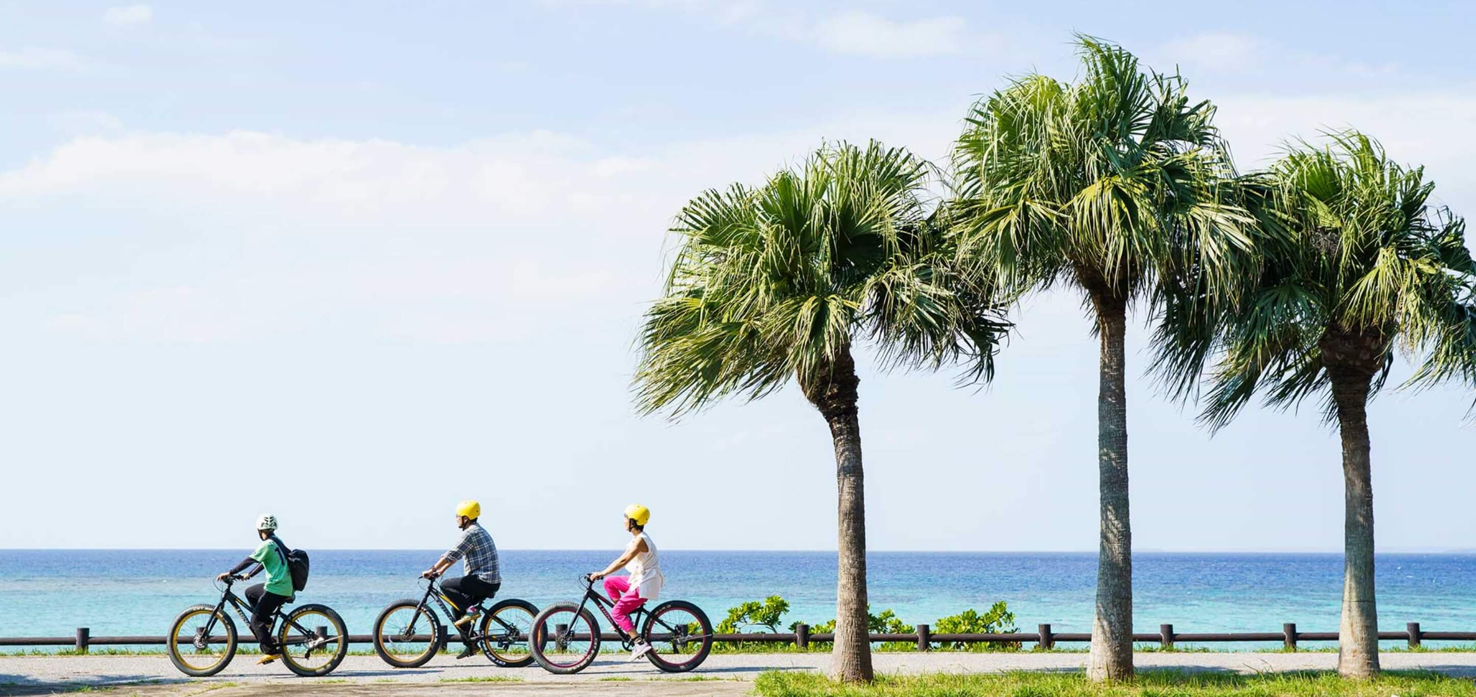 A cycling tour that leaves from the hotel will take you through beautiful neighborhood scenery.
