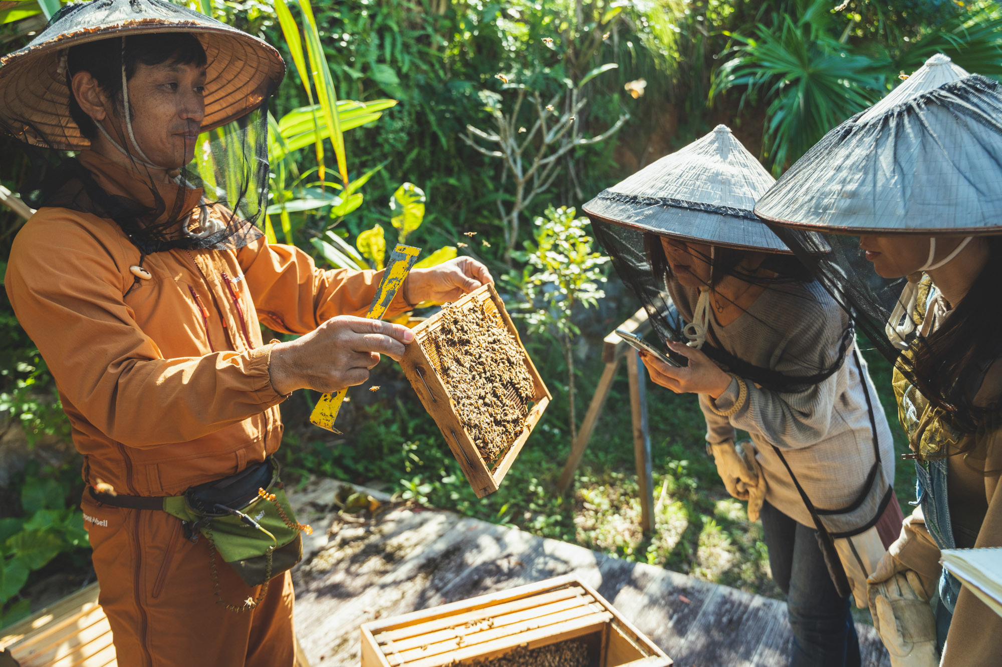 When collecting honey, it is important to wear a protective mask. A mask attached to a bamboo hat with a large brim is good for ventilation and makes working easier.