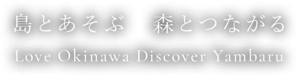 島とあそぶ　森とつながる　Love Okinawa Discover Yambaru