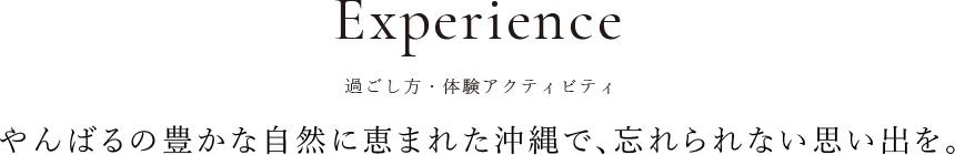 過ごし方・体験アクティビティ